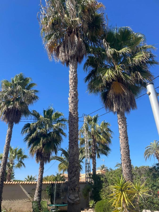 Palangre Beach Apartment تورّيفيِخا المظهر الخارجي الصورة